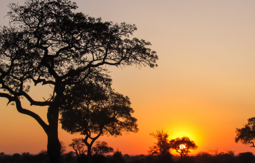 Splendours of South Africa-South Africa