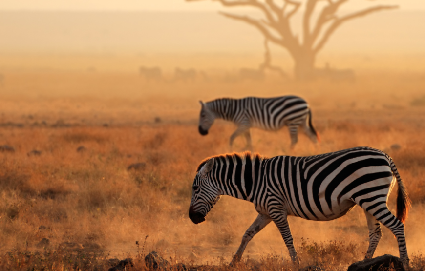 Glimpses of Kenya-Kenya