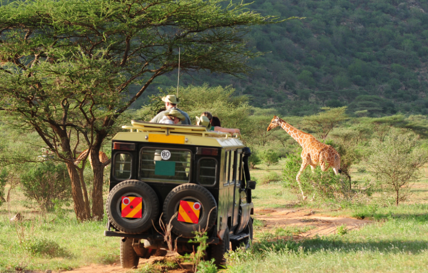 Glimpses of Kenya-Kenya