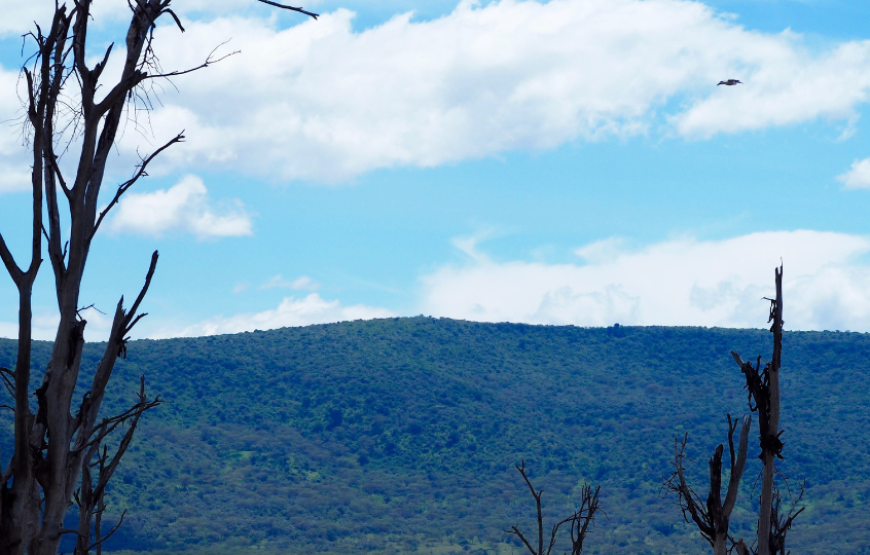 Wonders of Kenya & Tanzania-Tanzania