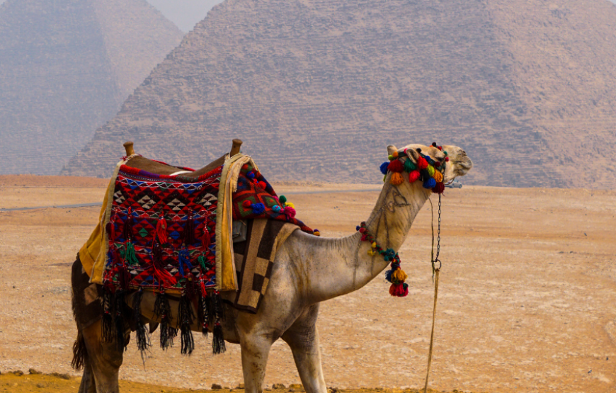 Egyptian Wonders-Egypt