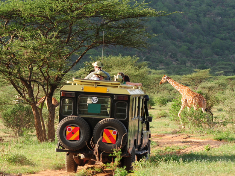 Enchanting Kenya-Kenya