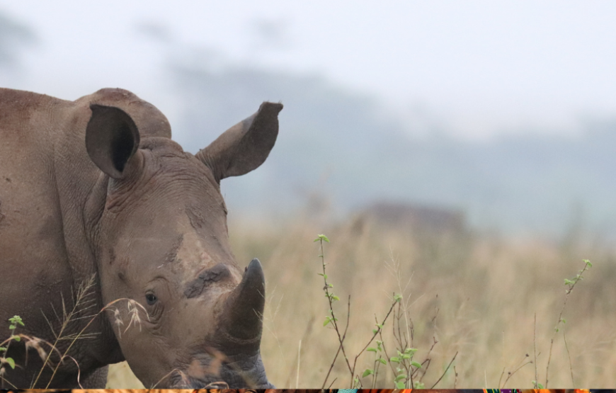 Wonders of Kenya And Tanzania-Kenya