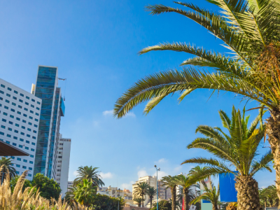 Explore the vibrant streets of Casablanca, Morocco's modern economic hub, where palm-lined boulevards, contemporary architecture, and coastal charm blend seamlessly.