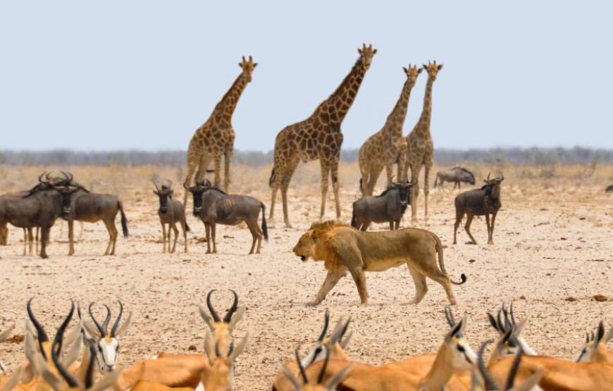 Glimpses of South Africa-South Africa