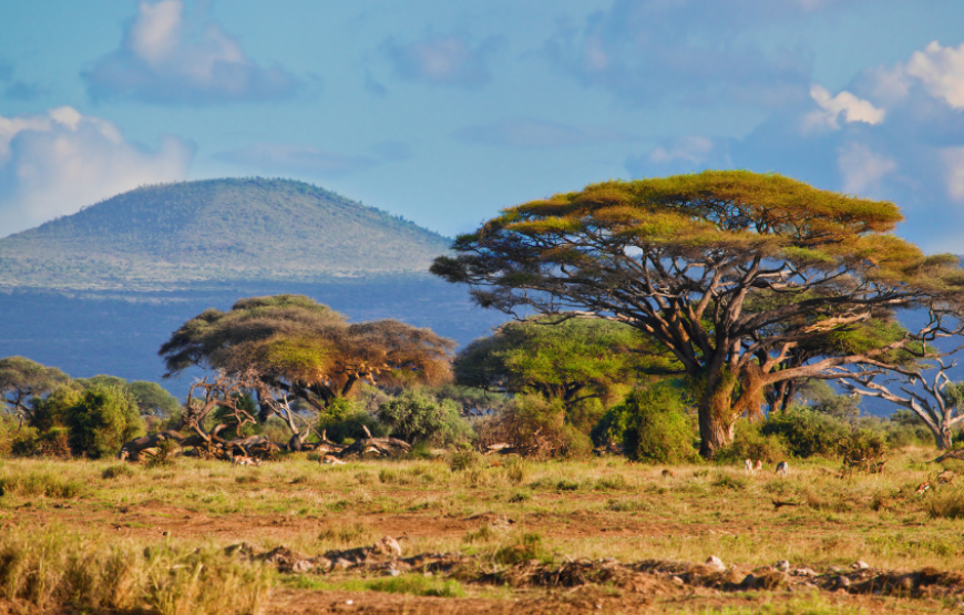 Stunning South Africa-South Africa