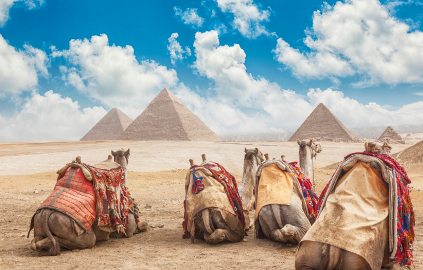 Highlights of Egypt-Egypt