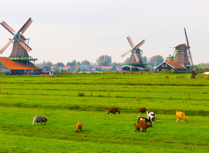 From East to West-Netherlands
