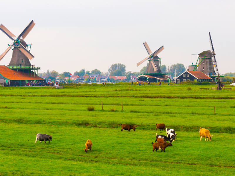 From East to West-Netherlands