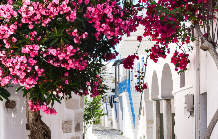 Vibrant Greece-Greece
