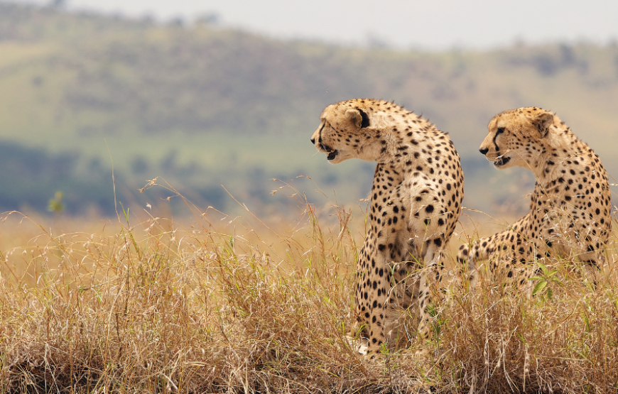 Sensational South Africa with Kruger-South Africa