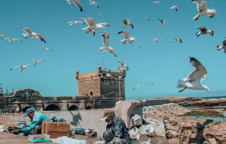 Imperial Cities From Casablanca-Morocco