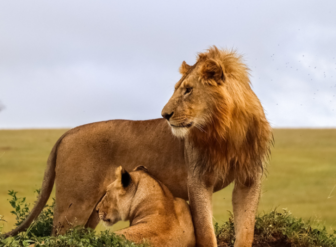 Wonders of Kenya And Tanzania-Kenya