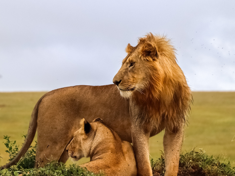 Wonders of Kenya And Tanzania-Kenya