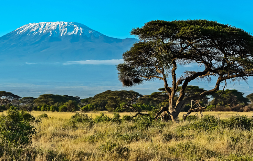 Enchanting Kenya-Kenya